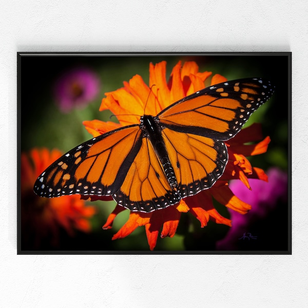 Pink Monarch Prints Etsy