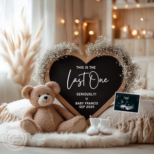 Last One Seriously Baby Announcement: Social Media Pregnancy Reveal (Digital)