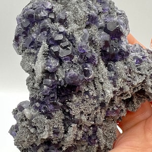 purple fluorite / on matrix / crystal mineral specimen
