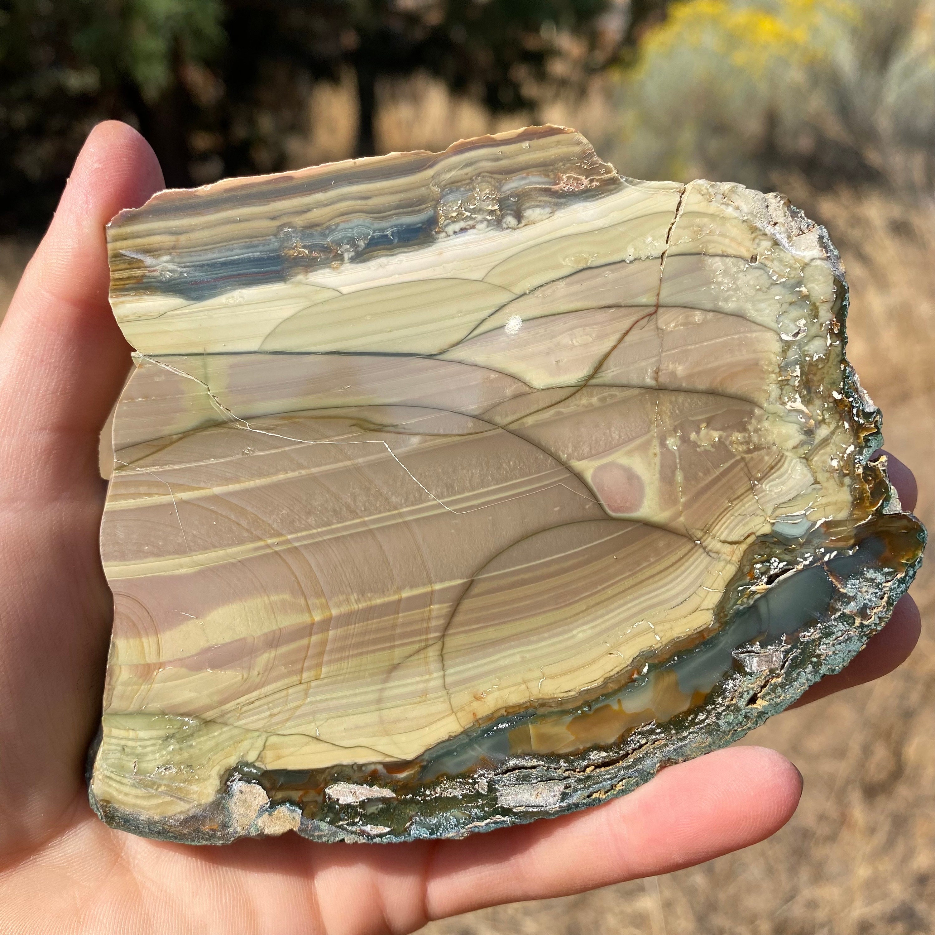 Plum Jasper - Dragonfly Art and Soul Metaphysical Shop