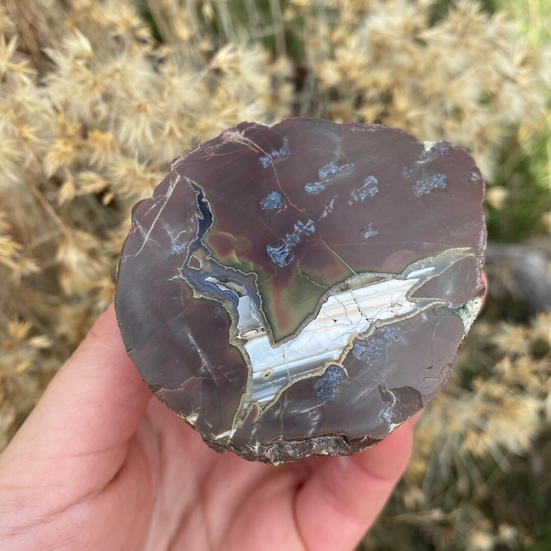 Oregon Thunderegg Polished Specimen Piece for Rock or Crystal Etsy