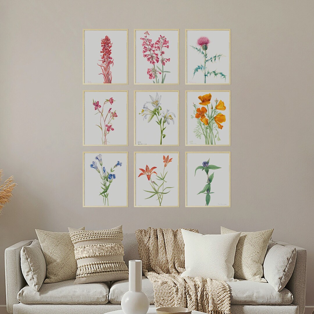 Vintage Flower Illustrations, Set of 9 High Quality Prints, 19th ...