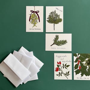 Lot de 5 cartes de Noël brins de verdure