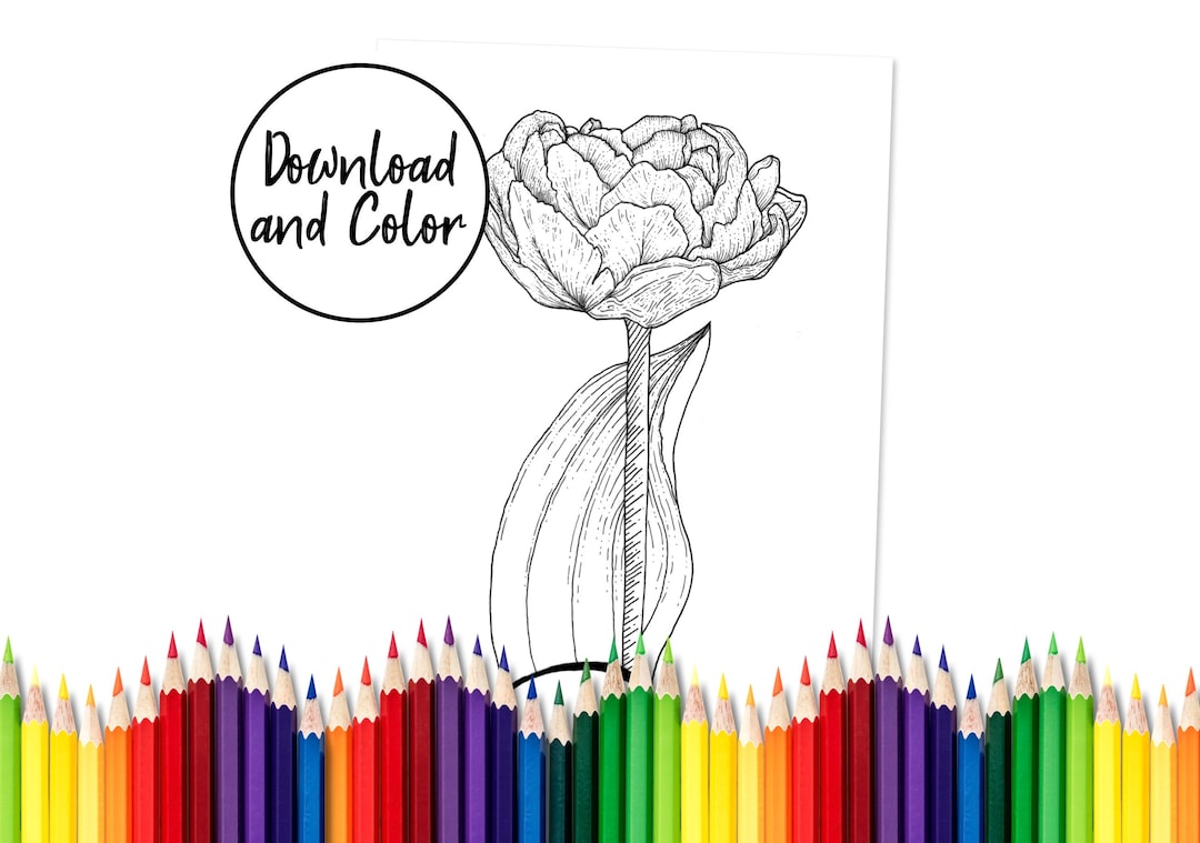 Downloadable Floral Coloring Page | Detailed Colouring Page | Flower ...