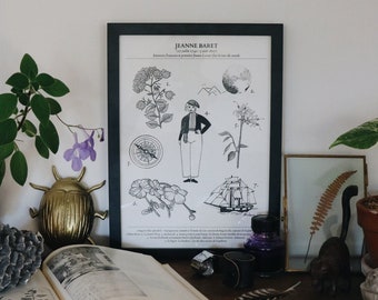 Illustration A4 Jeanne Baret botaniste française