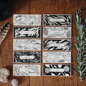 Peut inclure: Ensemble de dix cartes illustrées en noir et blanc avec les noms d'épices écrits en français. Les cartes sont disposées en deux rangées de cinq sur une surface en bois. Les épices comprennent le paprika, le sel, le poivre, le cumin, le thym, le gingembre, la cannelle, le curcuma, le piment et l'ail.