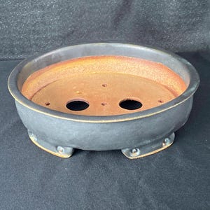 Bonsai pot / Oval / copper green. Red strand soil.