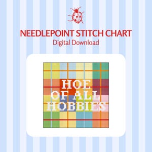 Op de afbeelding: Een needlepoint stitch chart digitale download met een rood lieveheersbeestje icoon en de tekst NEEDLEPOINT STITCH CHART. Het centrale vierkant toont een veelkleurig ruitjespatroon met de witte tekst HOE OF ALL HOBBIES in het midden.