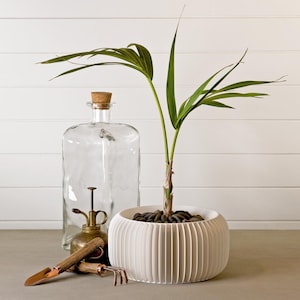 pot plant stand Wooden 3-Tier Plant Pots Stand Ladder Shelf for Outdoor main image 0