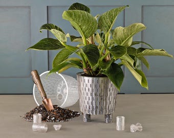 Indoor Planter Liner - Air pot - Self-Watering Planter - fits 6 nursery  pot plant