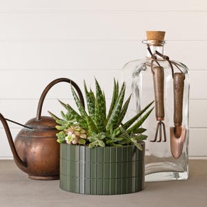 May include: A green ceramic planter with a succulent plant inside. The planter has a grid pattern and is sitting on a table next to a copper watering can and a clear glass bottle with a cork top.