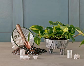 May include: A silver metal planter with three legs, a small trowel, and a pile of potting soil. A green leafy plant with variegated leaves is growing in the planter. There are also several clear plastic plant pots.