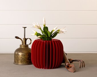 Modern Fin Planter - Indoor Pot - Self-Watering Planter - fits 2” nursery pot plant