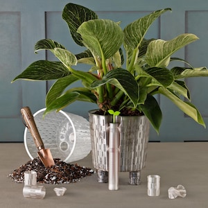 May include: A white and green houseplant in a silver metal pot with legs. The pot has a decorative pattern of vertical lines. The plant is surrounded by a clear plastic pot, a small trowel, and several small clear plastic pieces.