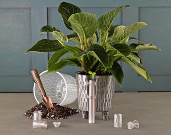 Indoor Planter Liner with Water Indicator - Air pot - Self-Watering Planter - fits 6” nursery pot plant