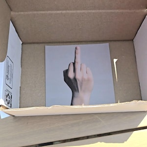 May include: A square print featuring a hand with the middle finger extended, inside a cardboard box. The hand is in front of a light gray background. The box is open and made of brown cardboard.