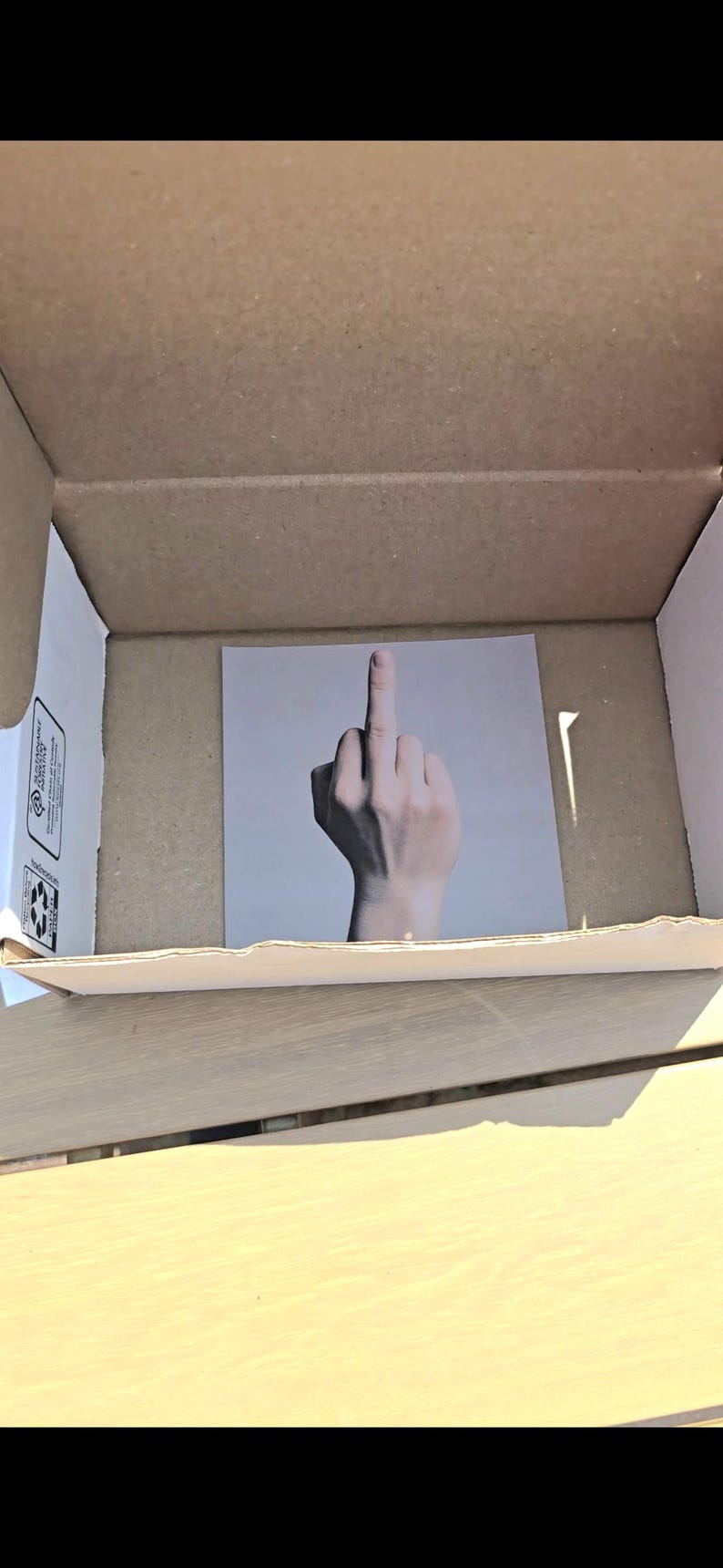 May include: A square print featuring a hand with the middle finger extended, inside a cardboard box. The hand is in front of a light gray background. The box is open and made of brown cardboard.