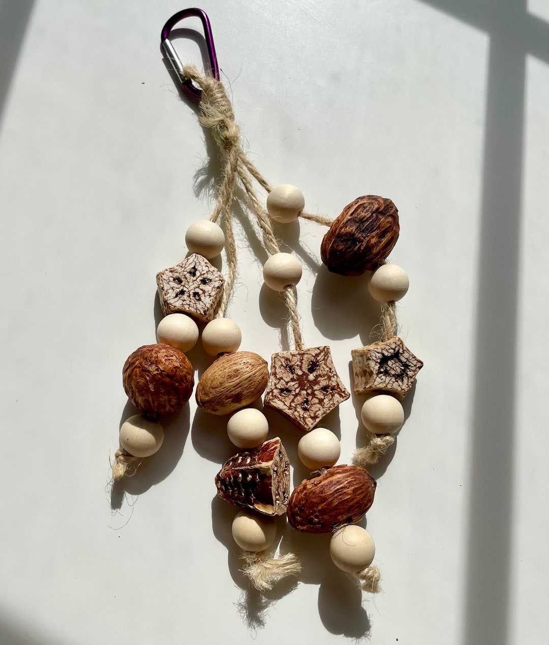Bird Toy Mahogany Pod With Nuts for Birds and Other Small Etsy