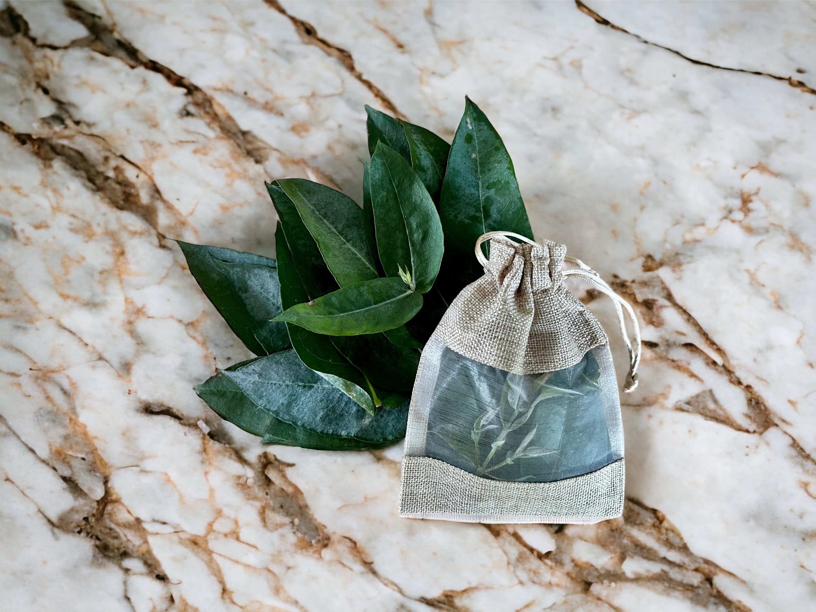 Fresh Eucalyptus Aromatherapy Shower Bag Eucalyptus Shower Etsy