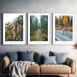 Lappland Premium Poster Set, Wall Art Prints, Wandbilder Wohnzimmer und Schlafzimmer, Wanddeko Set, Fotoposter aus Schweden und Finnland