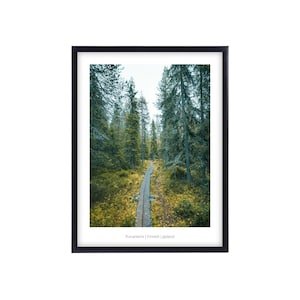Rovaniemi Finnland Premium Poster, Wall Art Prints, Wandbilder Wohnzimmer und Schlafzimmer, Wanddeko, Fotoposter  Lappland und Wald
