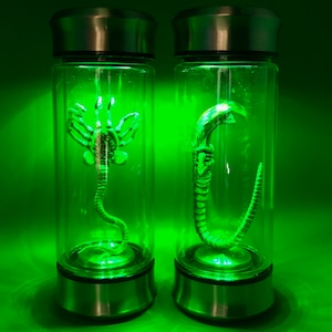 Alien Xenomorph specimen in a jar