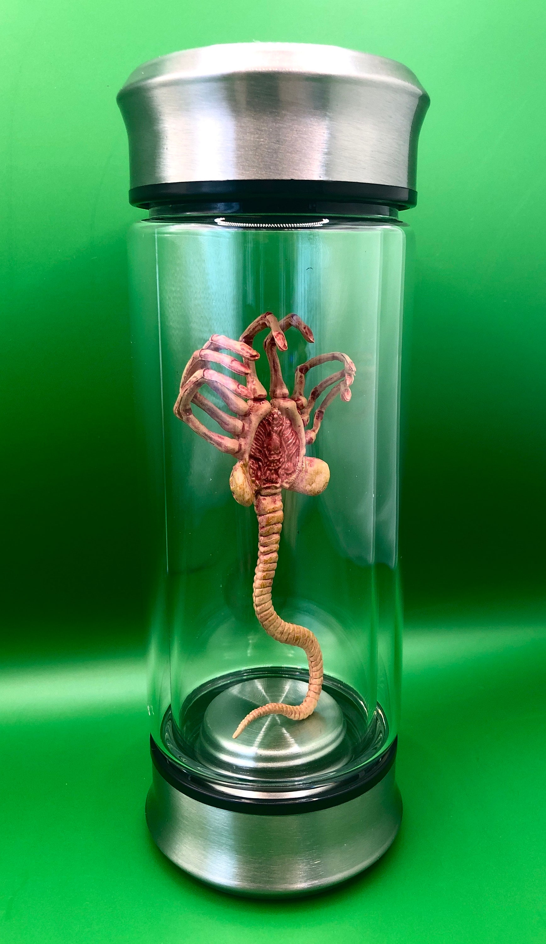 瓶に入ったエイリアンの異種形態標本 - Etsy 日本