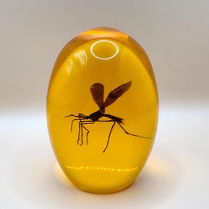 Mosquito in amber inspired movie prop / paperweight