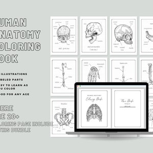 Anatomie des Menschen Malbuch | Druckbar oder Digital | 24 Seiten