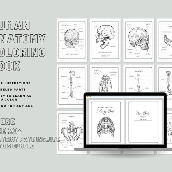 Menselijke anatomie kleurboek | Afdrukbaar of digitaal | 24 pagina's