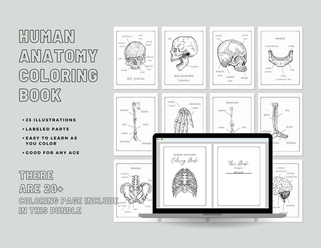 Human Anatomy Coloring Book Biology Diagrams