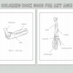 Human Anatomy Coloring Book Biology Diagrams