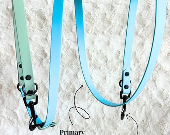 Custom Infinity Leash