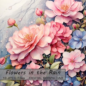 Flores bajo la lluvia, paquete de 10 JPEG, papel de diario basura de álbum de recortes digital, escenas de imágenes prediseñadas, jardín de flores lluvioso y tranquilo, uso comercial
