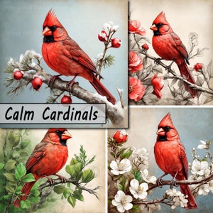 Calm Cardinals, 10 JPEG Bundle, Digital Scrapbook Junk Journal Paper, Clipart Scenes Red Bird Winter Branches Flowers Berries Commercial Use