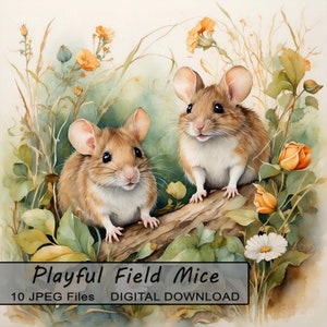 Topi di campo giocosi, pacchetto 10 JPEG, carta per diario spazzatura di album digitale, scene clipart, animali floreali, fiori di topo carini, uso commerciale