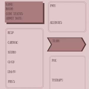 Single patient nurse brain