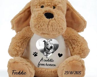 Personalised pet memorial/bereavement teddy | A cuddle from heaven gift | dog/cat/pet loss