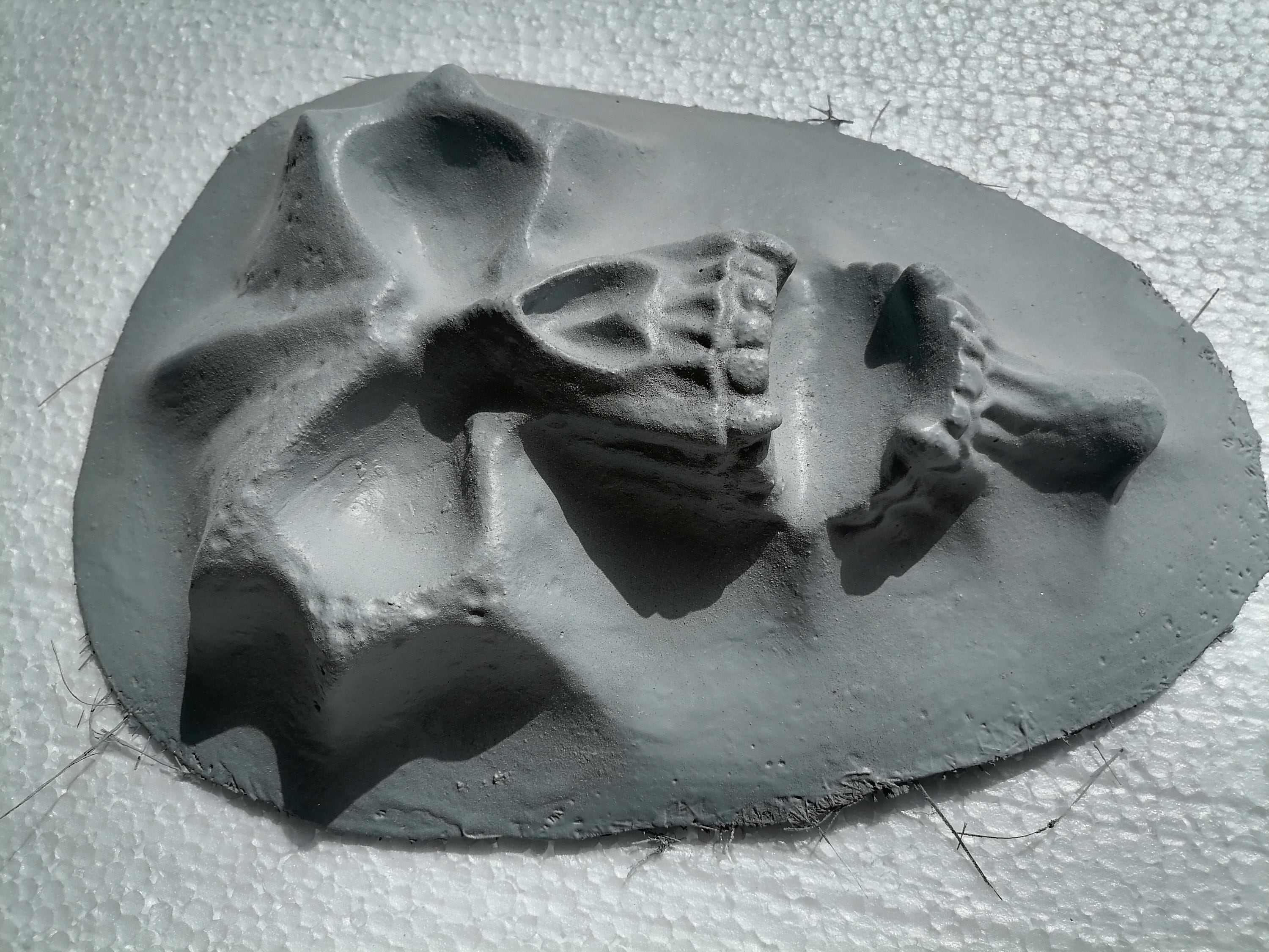Handmade 3D Monster Skull Panel: Fiberglass Car/motorcycle Decor