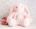 Personalised Bunny Rabbit,Girl New Birth,Personalised Plush Soft Toy,Personalised Teddy,Kids Cuddly Toy,Girls And Boys Teddy,New Baby Gift product logo