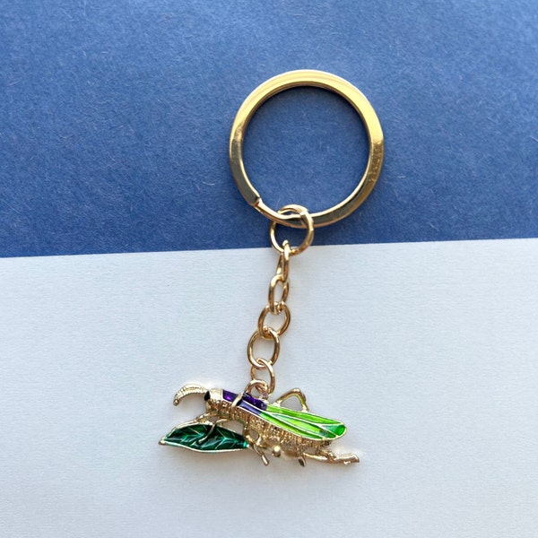 Insect keychains, Bugs keychain, Ladybug keychain, Cute keychains, Cute keychain, Pendant Bag Accessory, Alloy key rings, gift for her