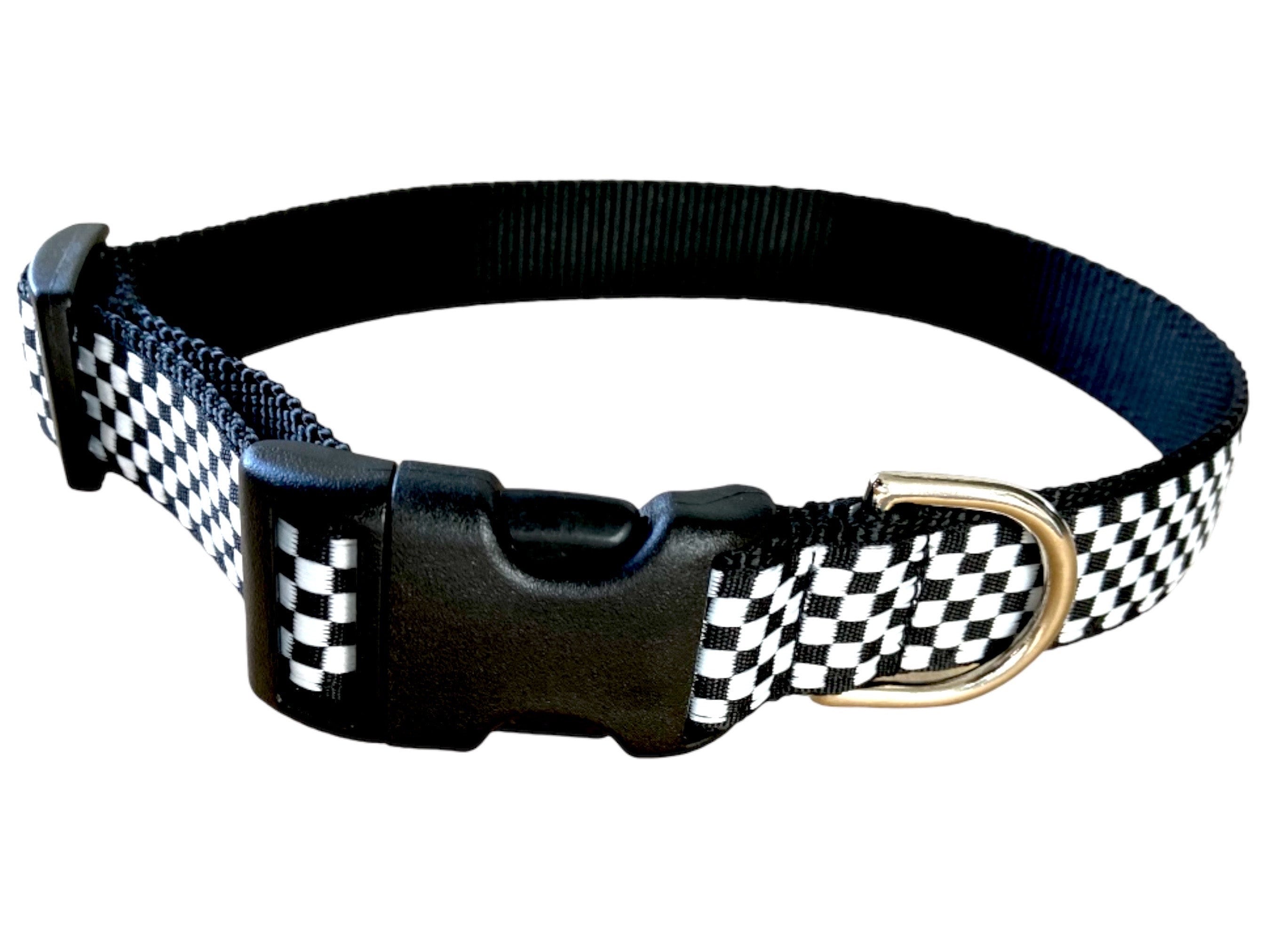 Race car hotsell dog collar