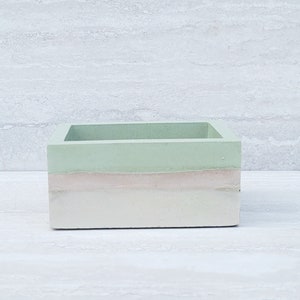 Rectangular Green and Pink Succulent Dish