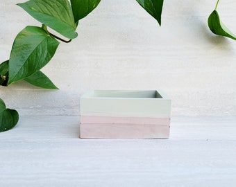 Rectangular Green and Peach Succulent Dish