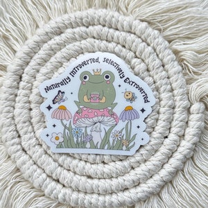 May include: A cream-colored macrame wall hanging with a circular design and fringe. A sticker in the center features a cartoon frog on a mushroom with the text "Naturally Introverted, Selectively Extroverted". Wooden beads and a tassel are also visible.