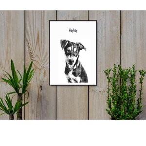 Custom Cartoon Pet Portrait, Pet Portrait, Digital Pet Portrait