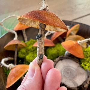 Decorazioni natalizie a forma di fungo arancione essiccato: steli in legno di pioppo tremulo, set da 6, decorazioni agrumate per l'albero di Natale.