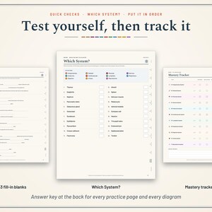 Pu&ograve; includere: Tre pagine di studio educative intitolate Test yourself, then track it, con una pagina Quick Check con 33 spazi da compilare, una pagina Which System? con termini anatomici e una pagina Mastery Tracker con una griglia per il monitoraggio.