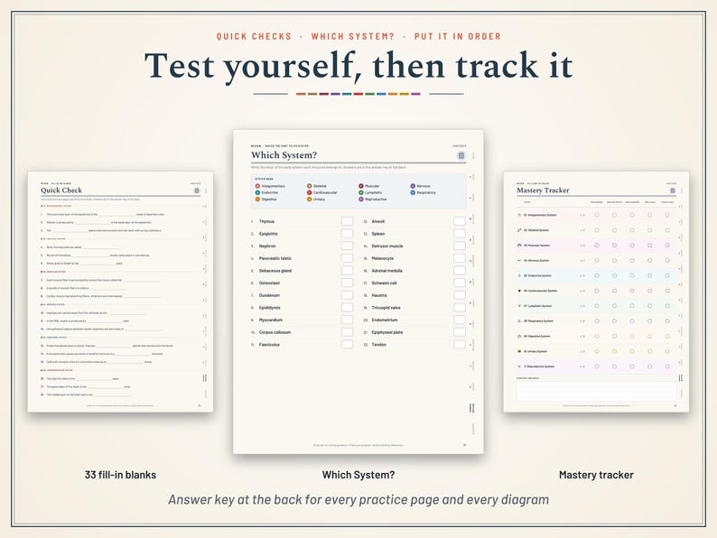 Pu&ograve; includere: Tre pagine di studio educative intitolate Test yourself, then track it, con una pagina Quick Check con 33 spazi da compilare, una pagina Which System? con termini anatomici e una pagina Mastery Tracker con una griglia per il monitoraggio.