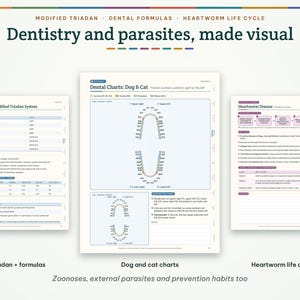May include: Three educational charts titled Dentistry and parasites, made visual. The charts display the Modified Triadan System, dental charts for dogs and cats, and the heartworm disease life cycle with detailed text and diagrams.